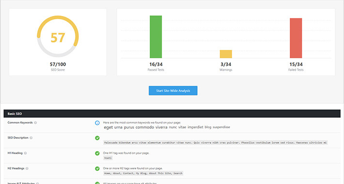 SEO Analysis