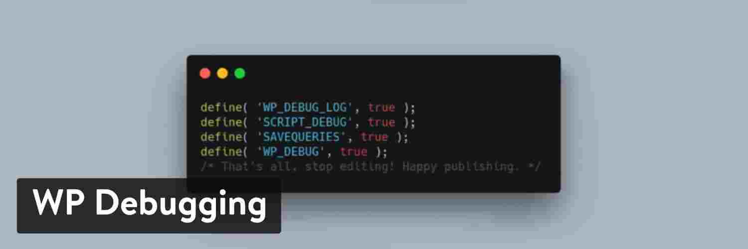 WP debug plugin