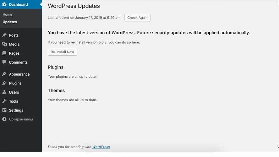 What you should know before updating WordPress
