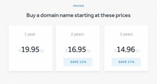 domain name