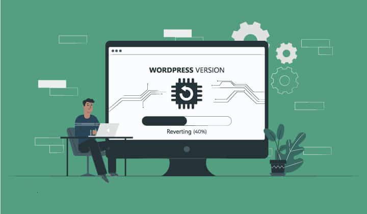 How to check older versions of a WordPress website?