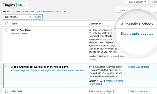 Auto updates for themes and plugins
