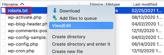 FTP to edit the robots.txt file manually