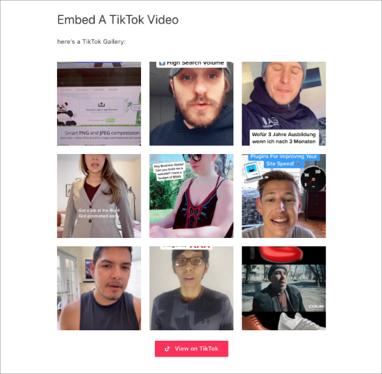 gallery in page