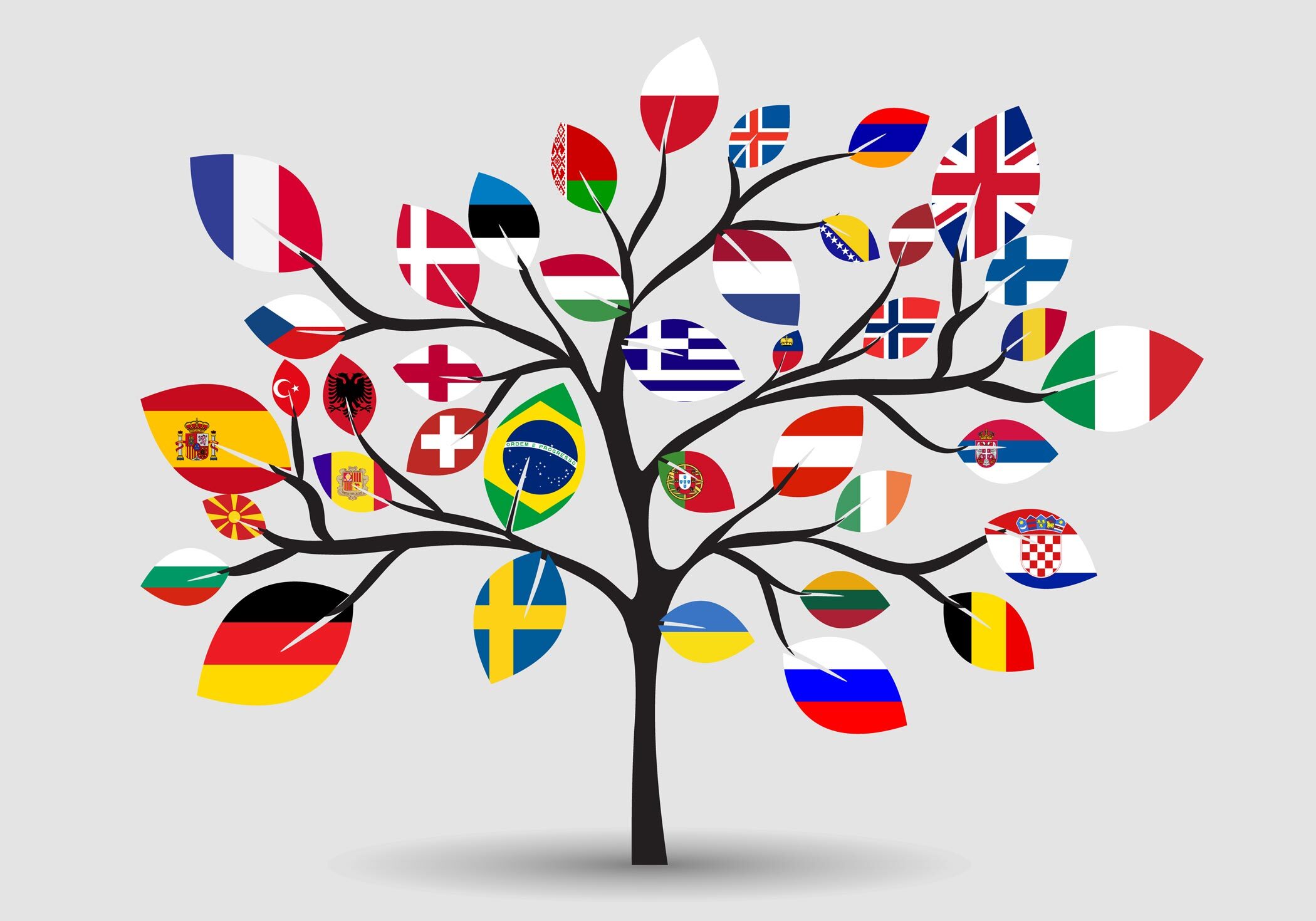 Ultimate Guide: How to Create a WooCommerce Multilingual Store