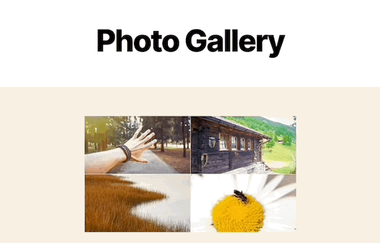 Use lightbox to open full-size WordPress images
