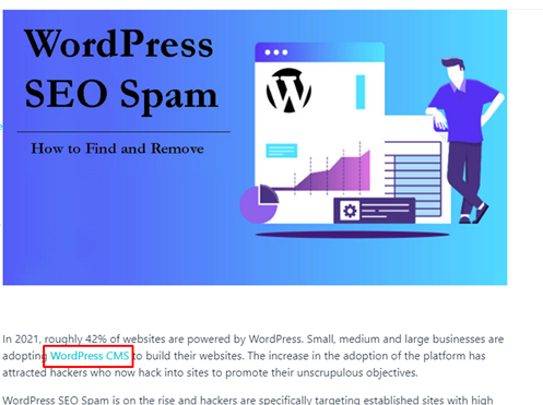 wp seo
