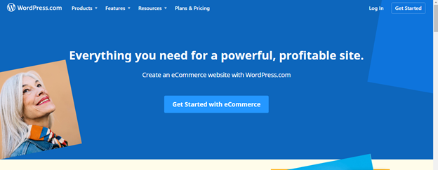 wordpress